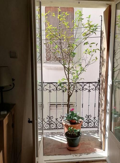Maison De Village Dans Le Centre Du Vieux Quartier Marseillan  Luaran gambar